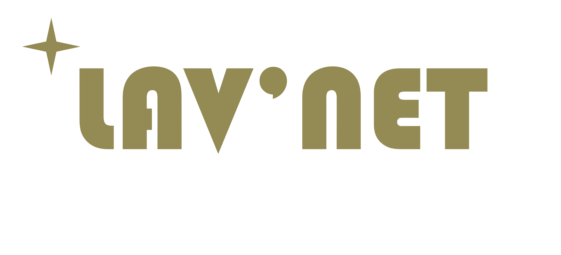 Logo LAV'NET